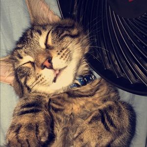 Meet your Posher, Noah